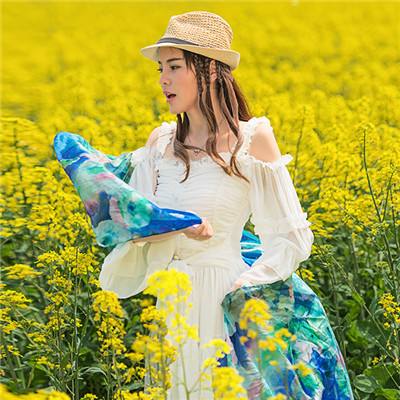 动物园卡车修改版